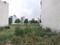 Sector 85 Plot View 1