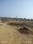 Borkhedi sirud Plot View 2