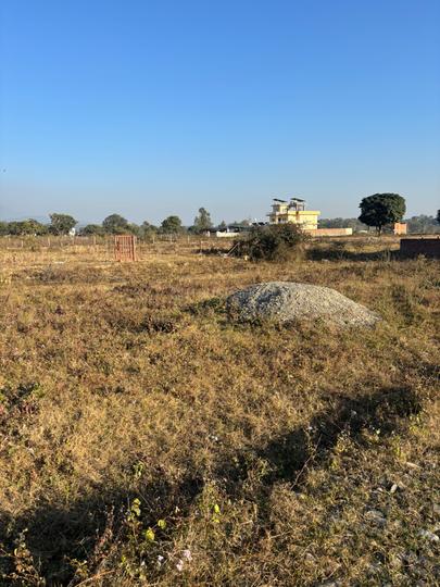 Tilwadi Main Image 1