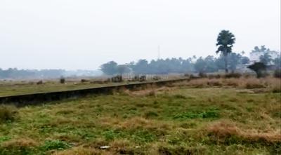 Panchanan Tala Plot View 1