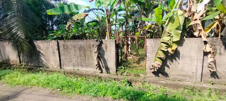 Pandikkavu, Viyyoor Main Image 1