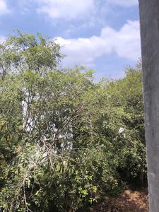 Bedroom Three Image of 3150 Sq.ft 5 BHK Apartment / Flat for sale in Bangalore City Municipal Corporation Layout Bengaluru for Rs. 29000150