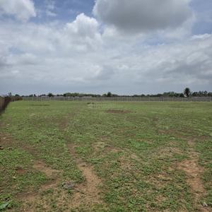 Image of 1000 Sq.ft 2 BHK Farm House for sale in Saddu, Raipur for Rs. 700000