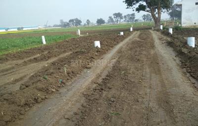 Sampatchak Plot View 1