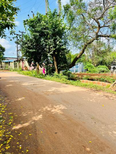 Patharagadia Main Image 1