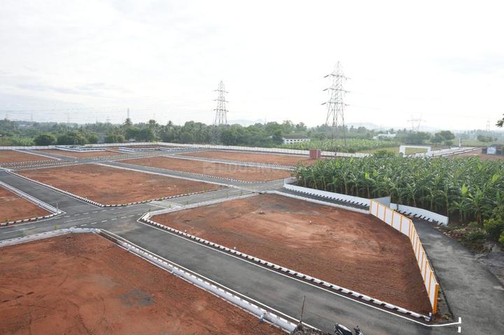 APPLES CITY Main Image 1