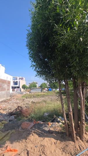 Rajat Shreenath Ji Vihar A Main Image 1