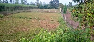 Image of 900 Sq.ft Residential Plot / Land for sale in Dharmawala, Dehradun for Rs. 2500000