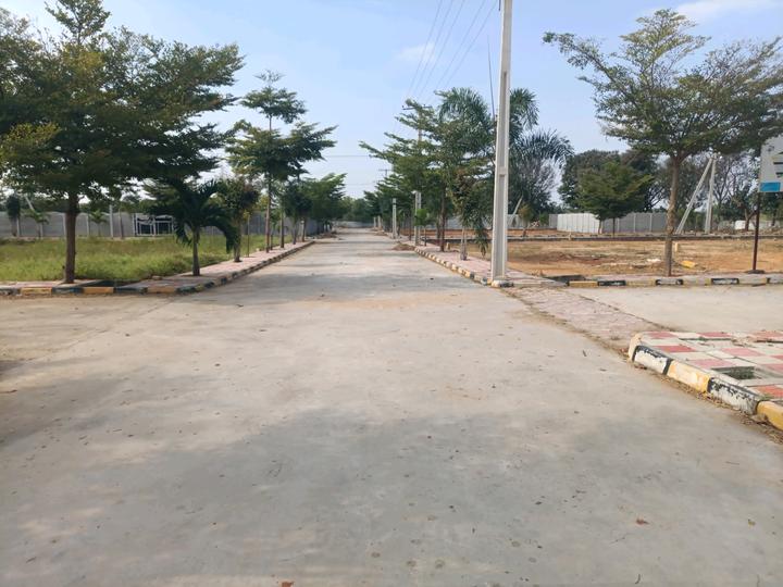 Golden City Main Image 1