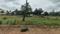 Devanahalli Main Image 1
