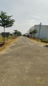 Residential Plot