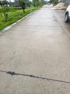Vatika India Next Plot Internal Roads 1