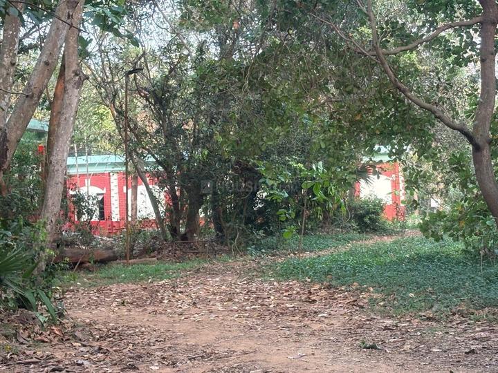 Pendurthi Main Image 1