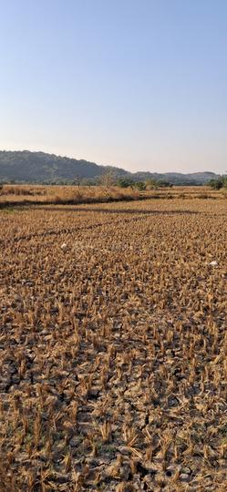 Ranjanpada Main Image 1