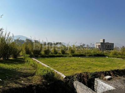 Pharande Vaarivana Plot View 2