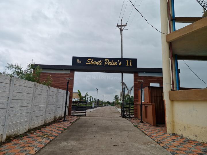 Radhika Shanti Palm 1 Main Image 1