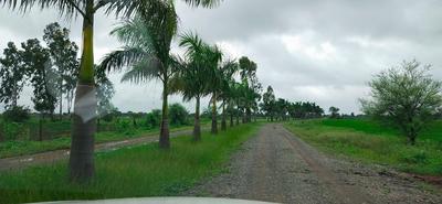 Image of 10000 Sq.ft Residential Plot / Land for sale in Bhatagaon, Raipur for Rs. 4400000
