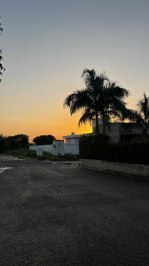 Sector 105 Main Image 1