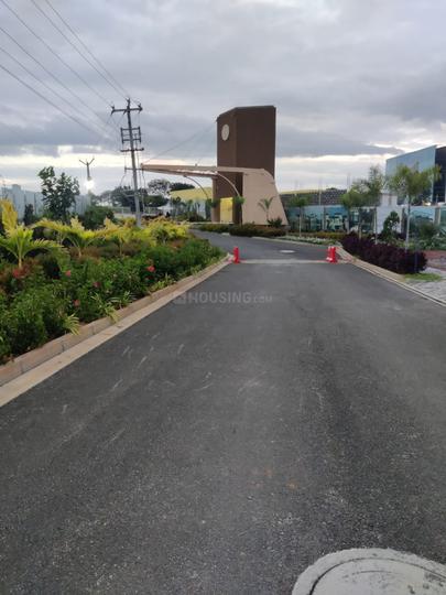 Palm Paradise Main Image 1