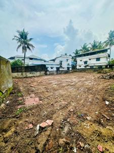 Ryan Gallery Plot View 2