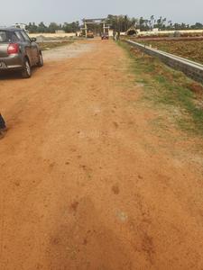 Boyapalem Plot View 2