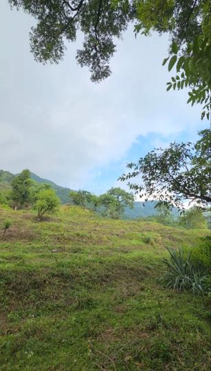 Rajpur Udyan Main Image 1