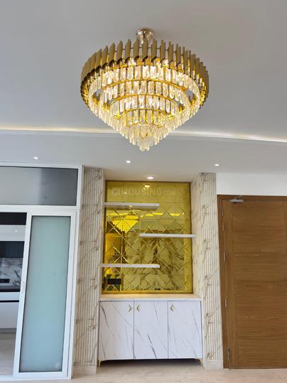 Tulip Violet Main Image 1