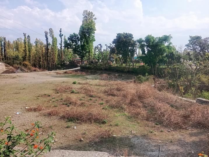 Krishali mohalla badasi Main Image 1