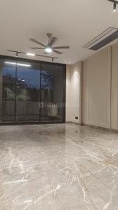 Hall Image of 2700 Sq.ft 4 BHK Builder Floor for sale in Green Park New Delhi for Rs. 85000000