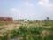 Yeida Main Image 1