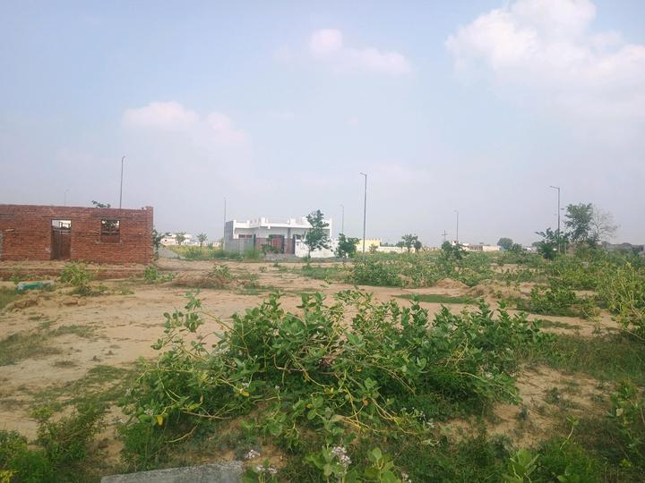Yeida Main Image 1