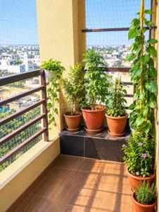 Balcony Image of 645 Sq.ft 2 BHK Apartment / Flat for sale in Real Avani Homes, Sukhdeopura Nohara Jaipur for Rs. 3700000