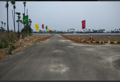 Kothavalasa Plot View 2