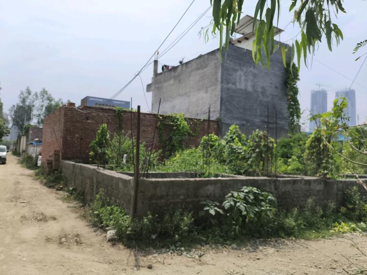 Kulesara Main Image 1