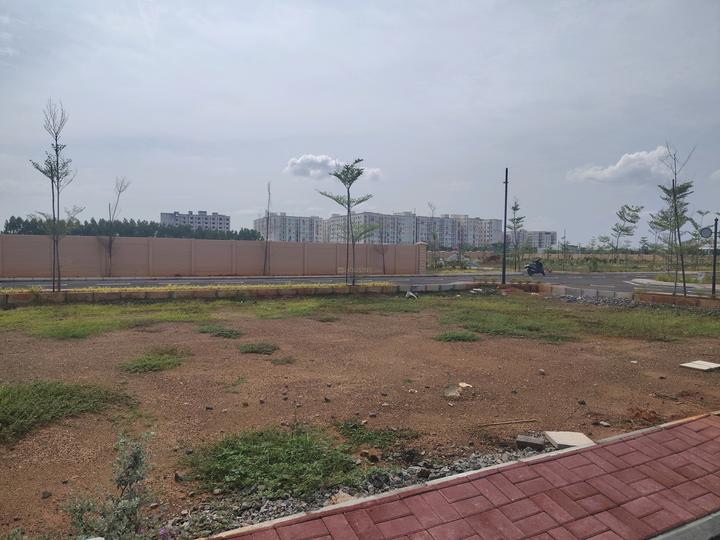 Urban Tree Opal Springs Main Image 1