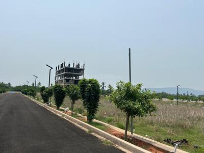 Thagarapuvalasa Plot View 3