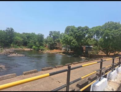 RIVERINE Plot View 2