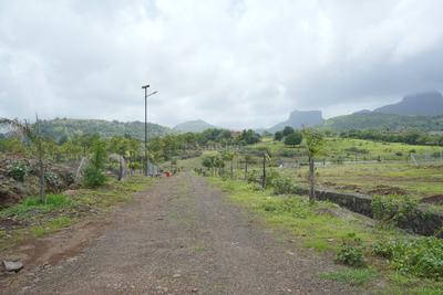 Aswaliharsha Plot View 2