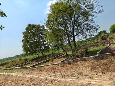 Residential Plot