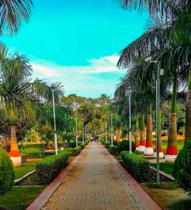 Image of 1650 Sq.ft 3 BHK Apartment / Flat for sale in Danapur, Patna for Rs. 15000000