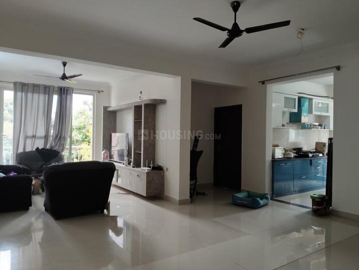 Msr Blue Petals Main Image 1