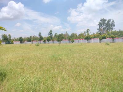 Residential Plot