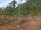 Pendurthi Main Image 1