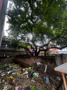 Image of 681 Sq.ft Residential Plot / Land for sale in Gol Bagicha, Gaya for Rs. 3800000