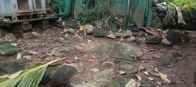 Image of 700 Sq.ft 2 BHK Independent House for sale in Kallayam, Thiruvananthapuram for Rs. 3000000