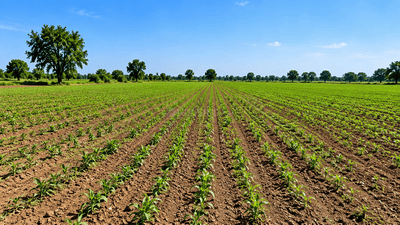 Image of 10648 Sq.ft Residential Plot / Land for sale in Dabhoda, Gandhinagar for Rs. 165000000