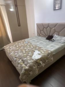 Bedroom Image of 1375 Sq.ft 2 BHK Apartment / Flat for rent in Supertech Supernova, Sector 94 Noida for Rs. 55000