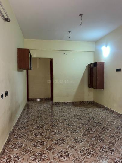 Anala Apple Tree Main Image 1