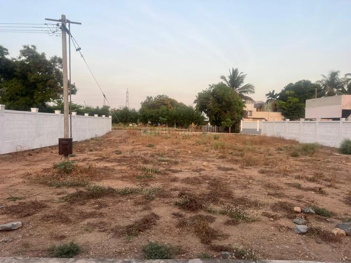 Annur Main Image 1
