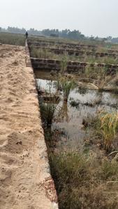 Image of 1200 Sq.ft Residential Plot / Land for sale in Balianta, Bhubaneswar for Rs. 600000